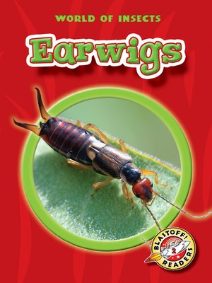 cover image of Earwigs